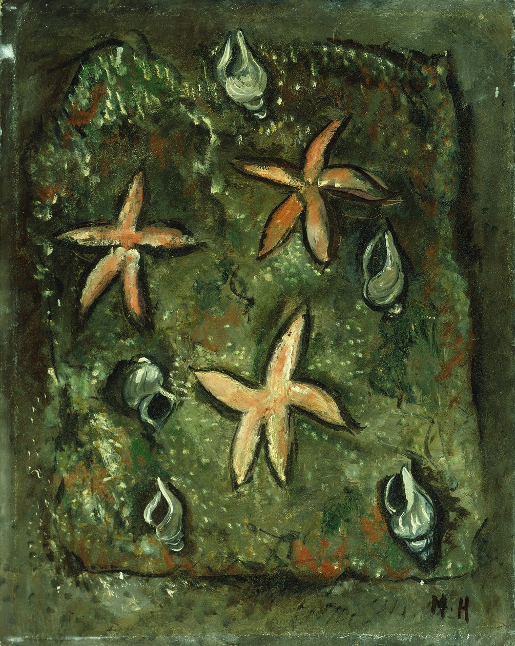 Estrellas de mar y conchas de Marsden Hartley