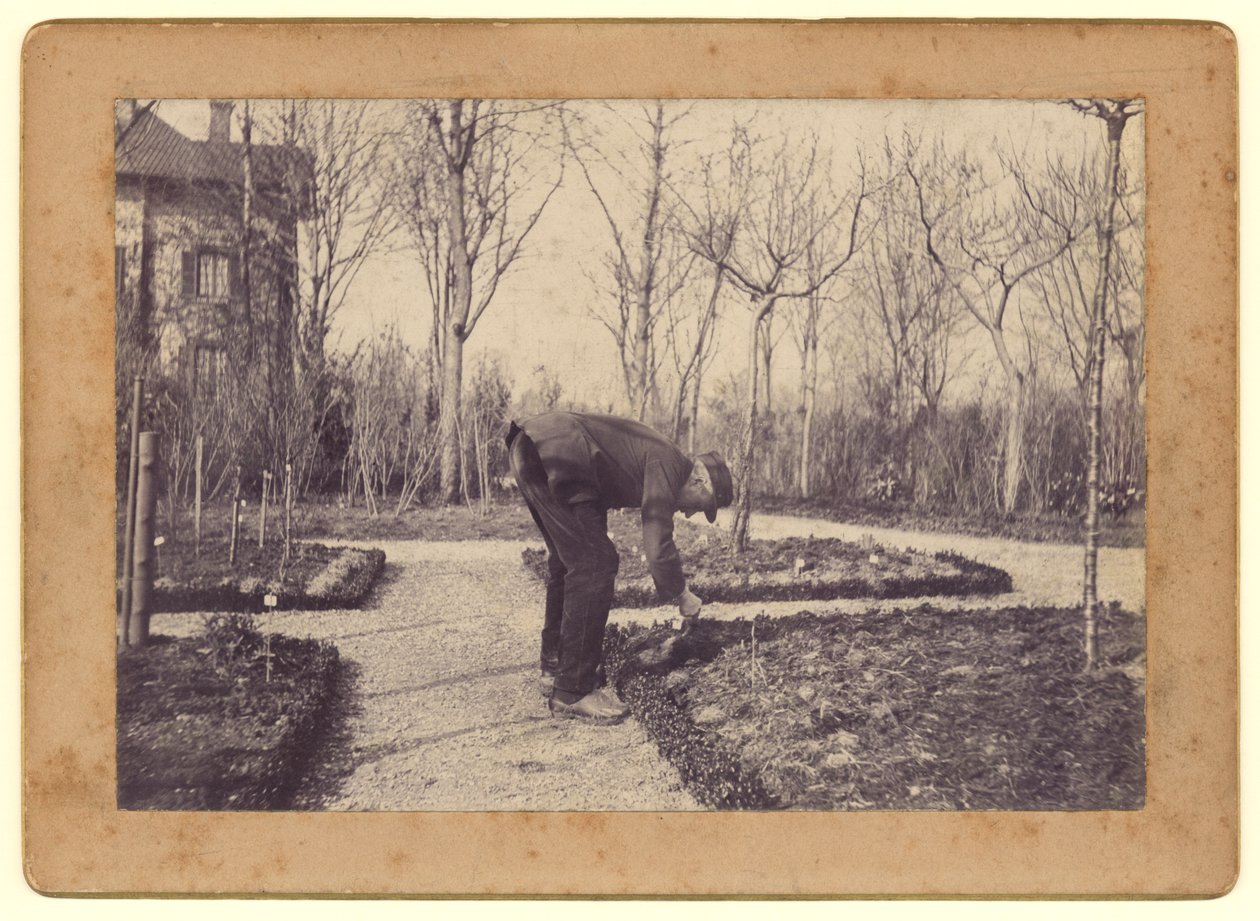 Gustave Caillebotte (1848-94) jardineando en Petit Gennevilliers, febrero de 1892 de Martial Caillebotte