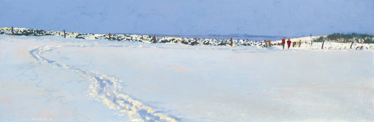Nieve acercándose, 2013 de Martin Decent