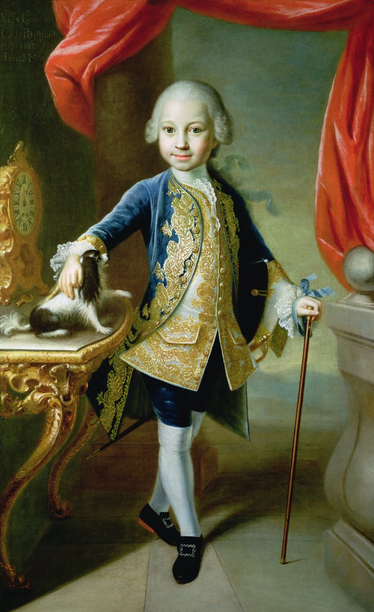 Retrato de un niño con un perro de aguas, siglo XVIII de Martin II Mytens or Meytens