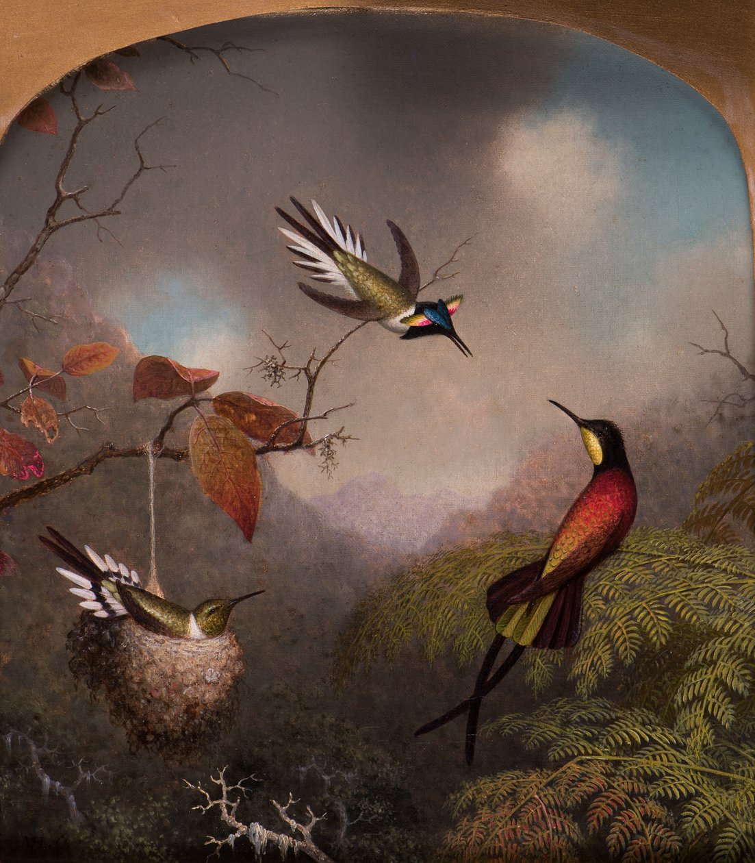 Colibríes: Dos "Sungems" y un "Topacio Carmesí", 1866 de Martin Johnson Heade