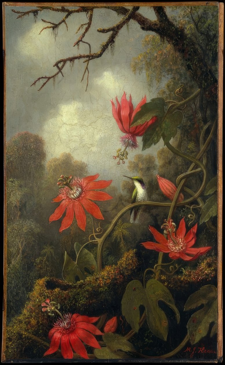 Colibrí y flores de la pasión de Martin Johnson Heade