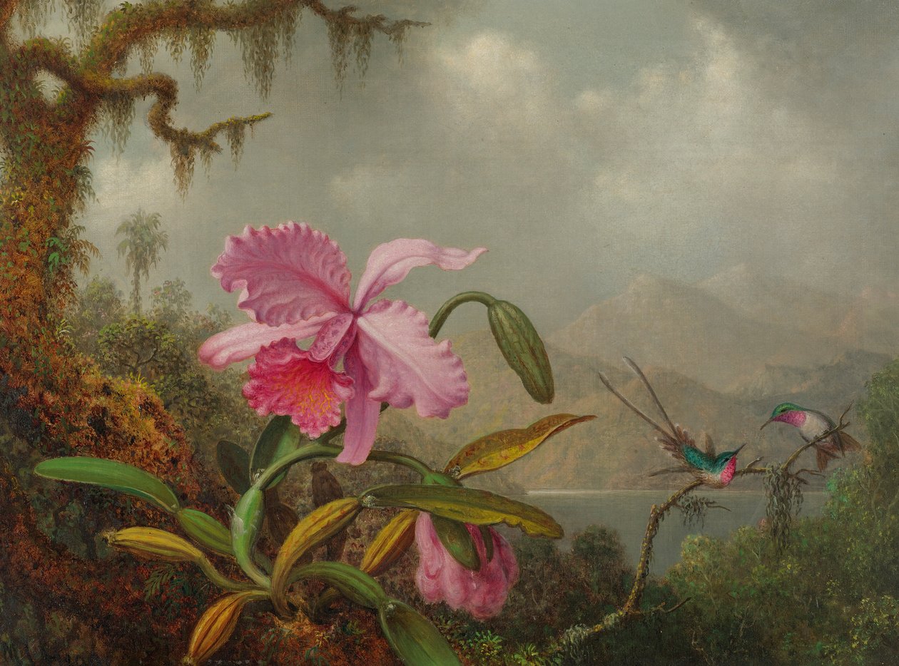 Orquídeas y colibríes de Martin Johnson Heade