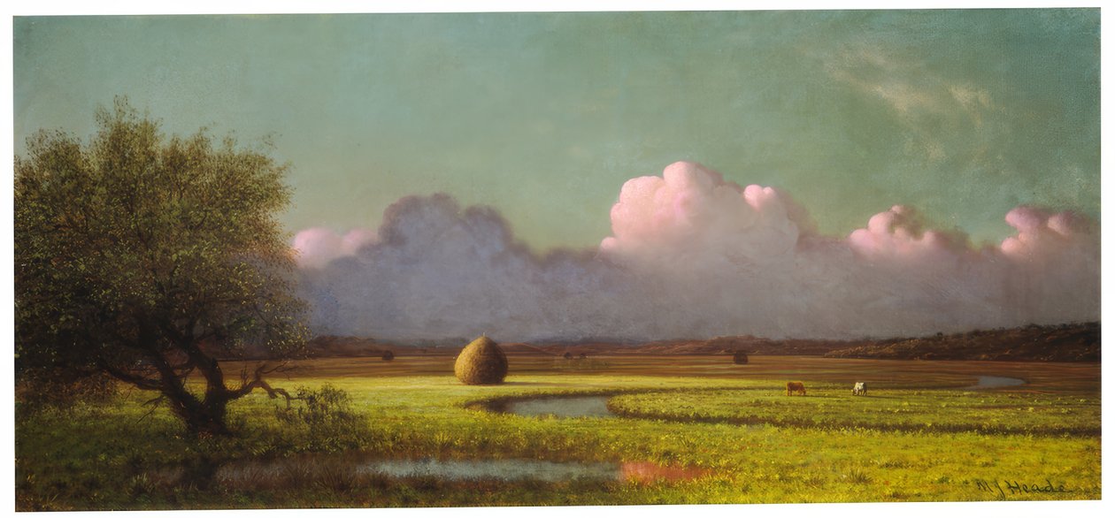Luz del sol y sombra: Los pantanos de Newbury de Martin Johnson Heade
