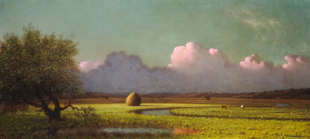 Luz del sol y sombra: Los pantanos de Newbury de Martin Johnson Heade