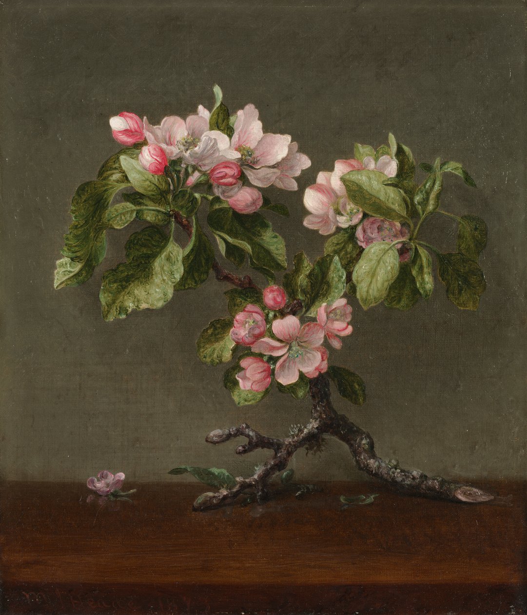 Flores de manzano de Martin Johnson Heade