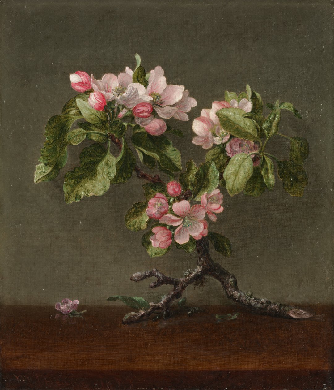 Flores de manzano, 1873 de Martin Johnson Heade