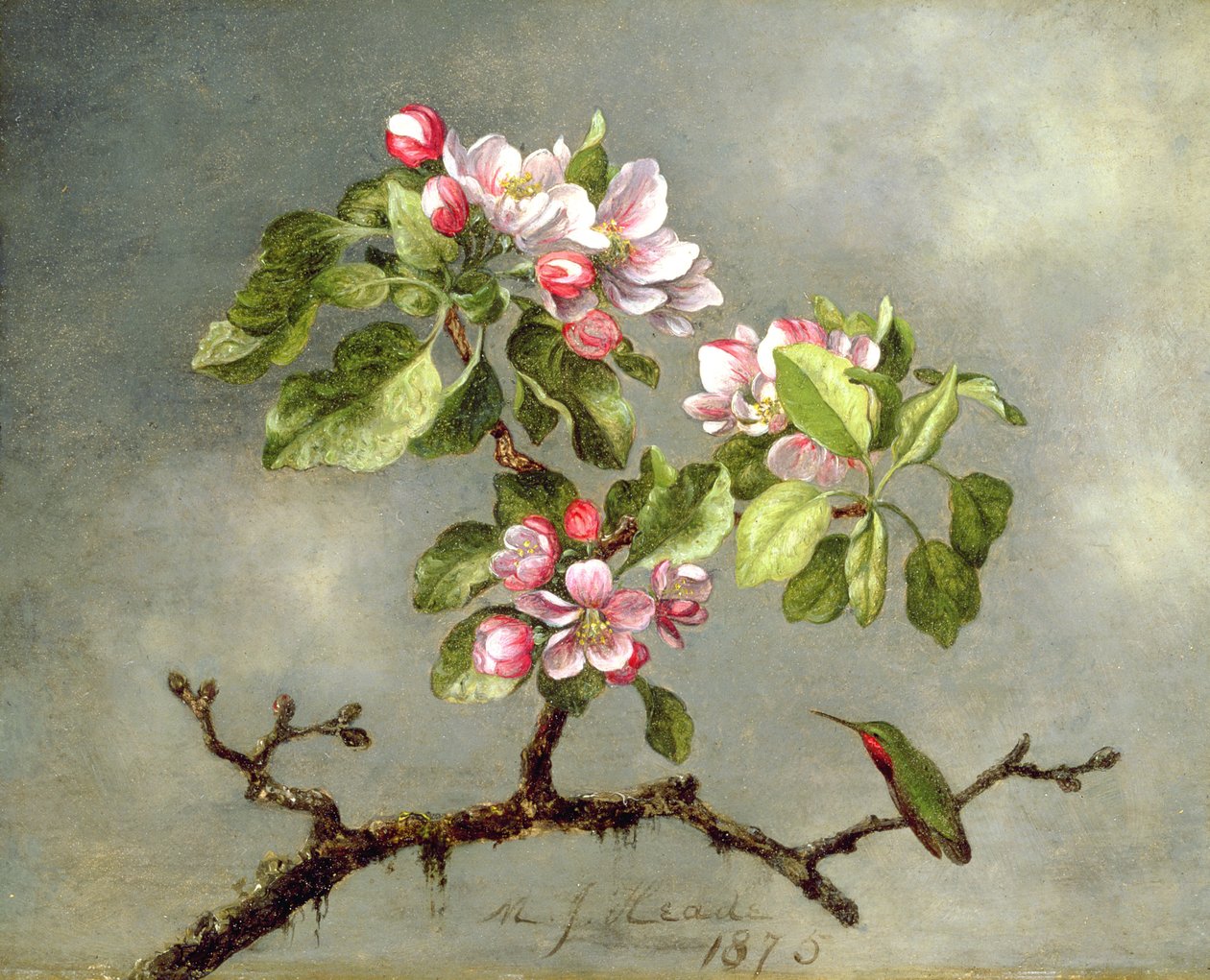 Flores de manzano y un colibrí, 1875 de Martin Johnson Heade