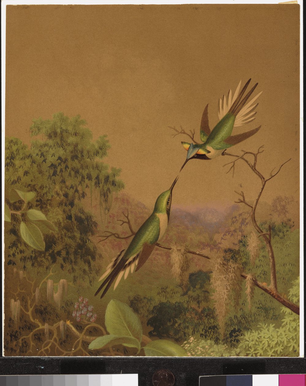 Colibríes brasileños IV de Martin Johnson Heade
