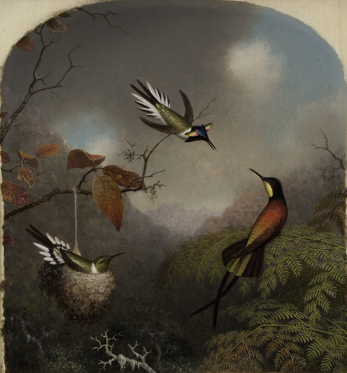 Colibríes: Dos joyas del sol y un topacio carmesí, 1866 de Martin Johnson Heade