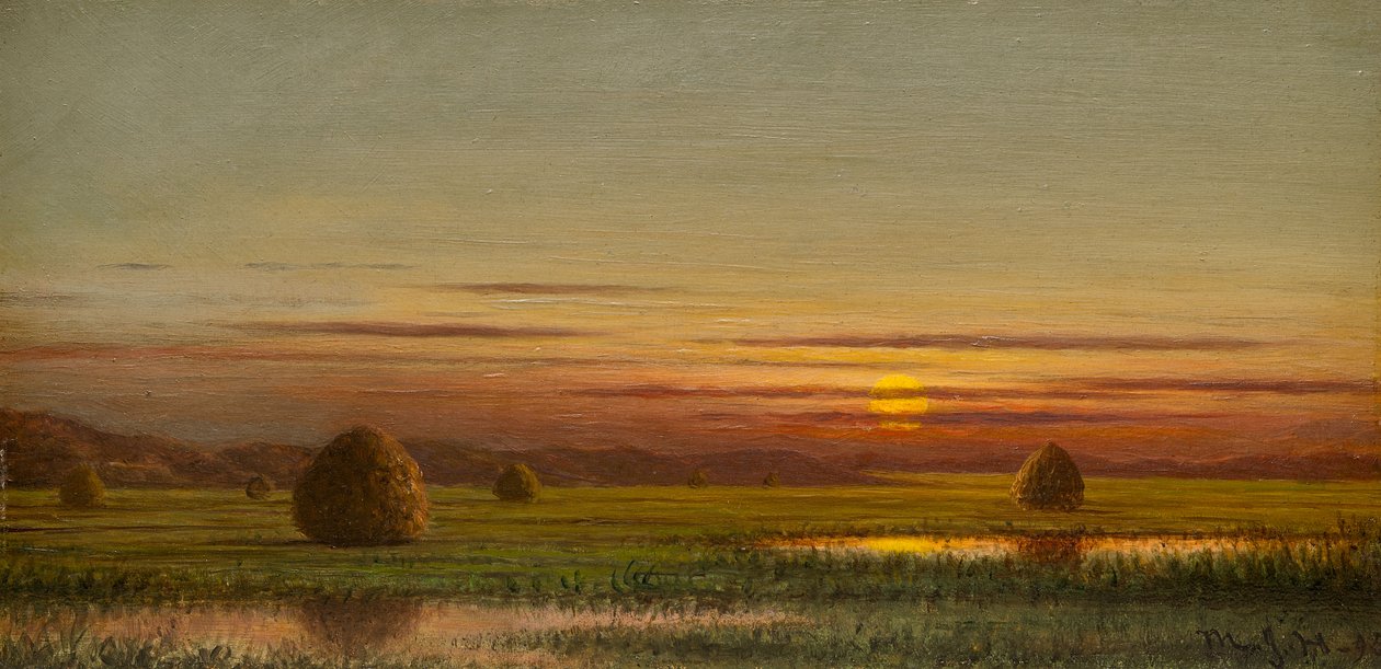 Pantanos de Martin Johnson Heade