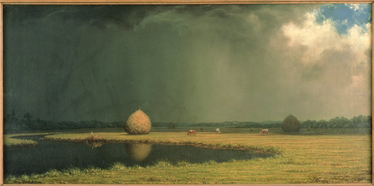 Salt Marsh Hay, c.1865 (óleo sobre lienzo) de Martin Johnson Heade