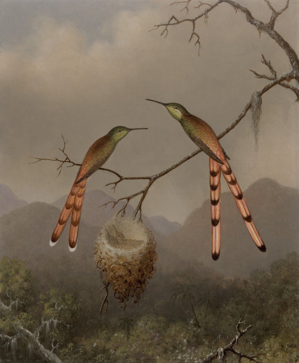 Dos colibríes con sus crías de Martin Johnson Heade