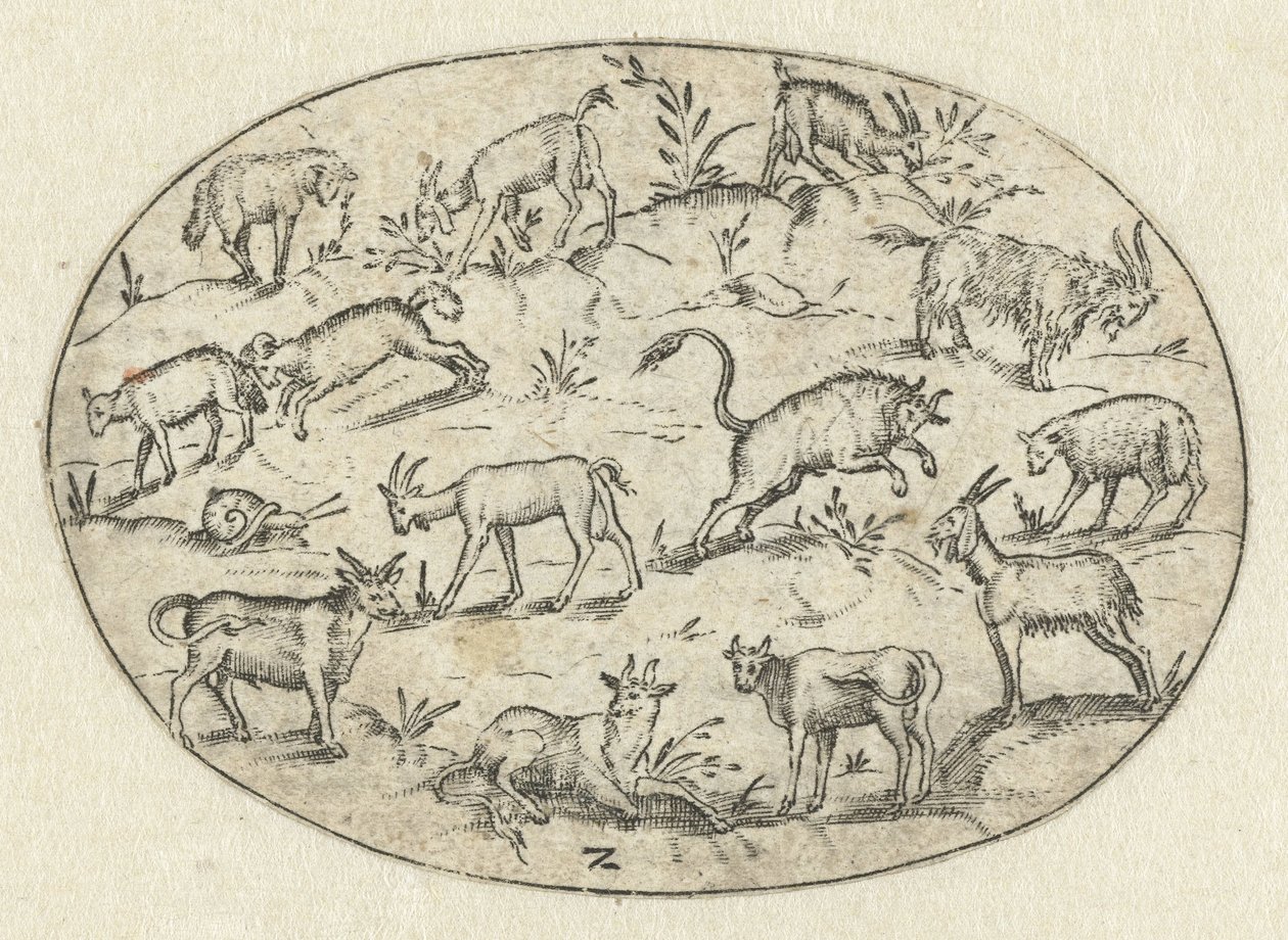 Óvalo con trece cabras Nev Thier Bvechlein (título de la serie) de Martin Pleginck