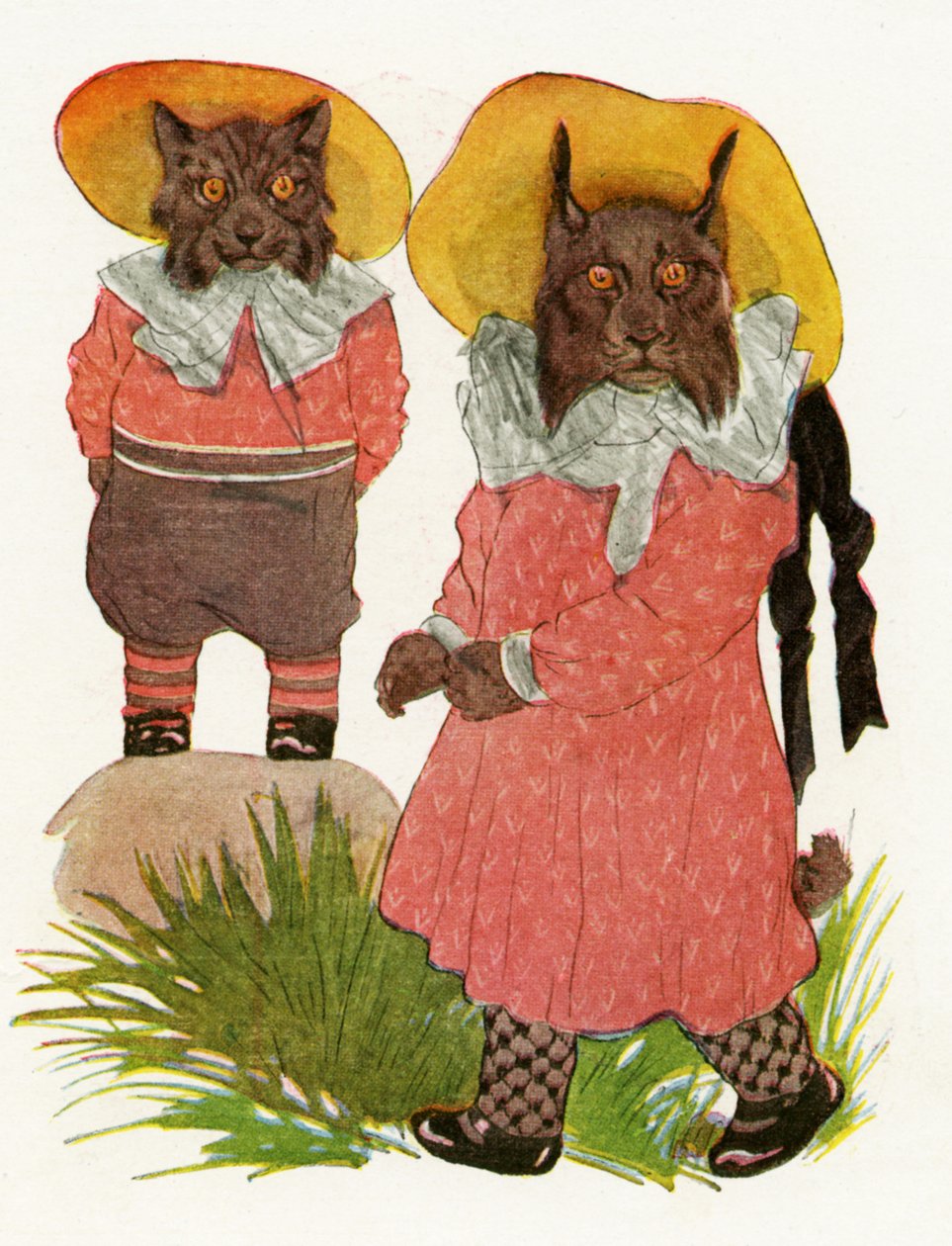Lince rojo y lince canadiense, 1913 de Martin Ross