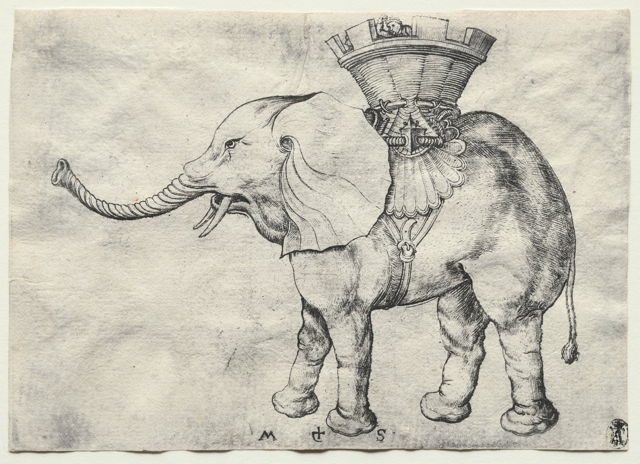 Un elefante con Howdah, c. 1485 de Martin Schongauer