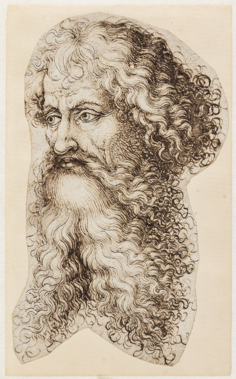 Cabeza de hombre barbudo en perfil de tres cuartos hacia la izquierda de Martin Schongauer