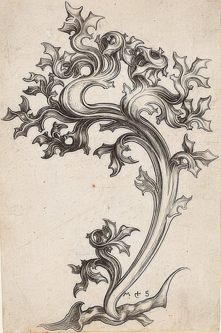 Ornamento de hoja de un cardo de Martin Schongauer
