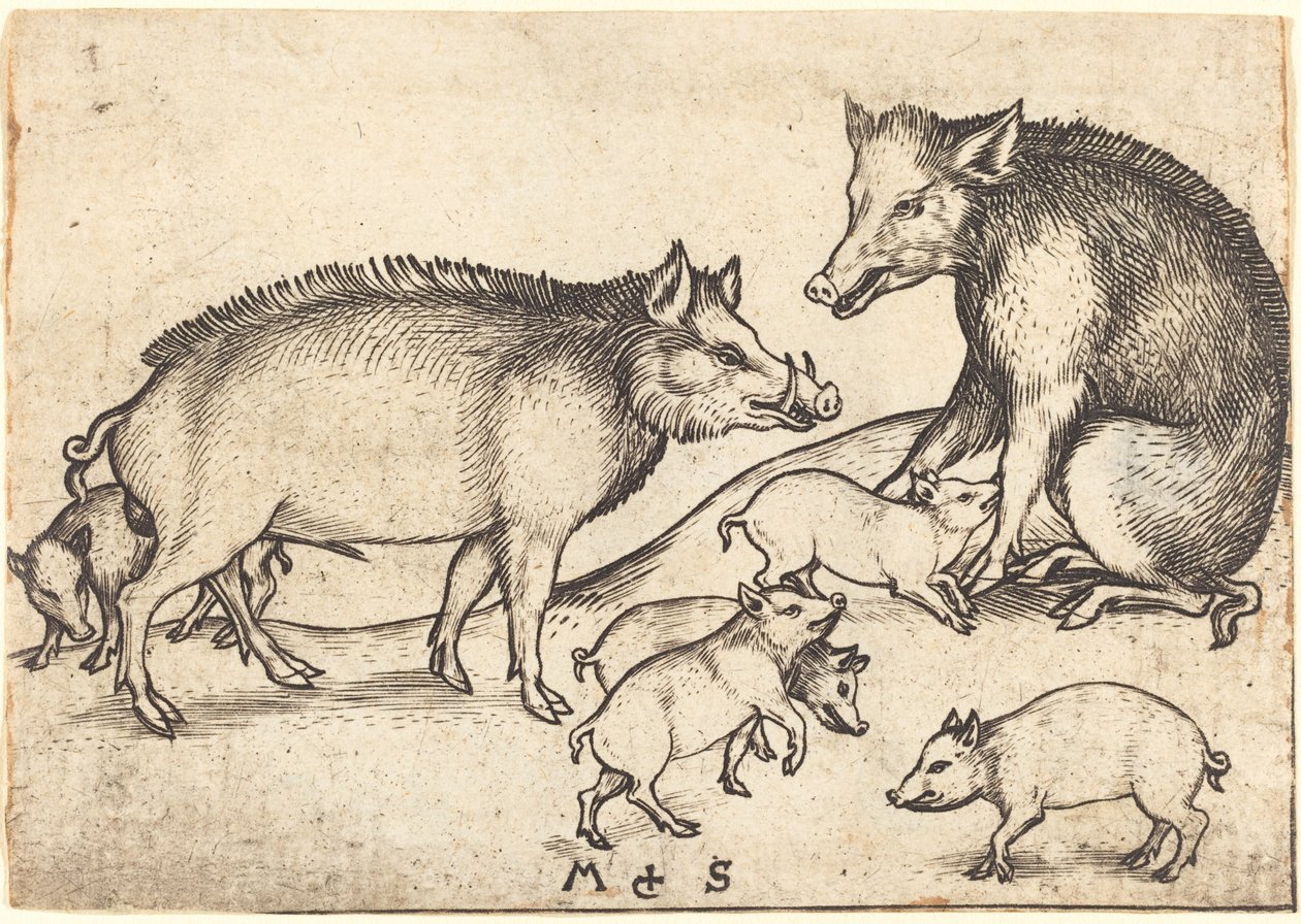 Familia de Cerdos de Martin Schongauer