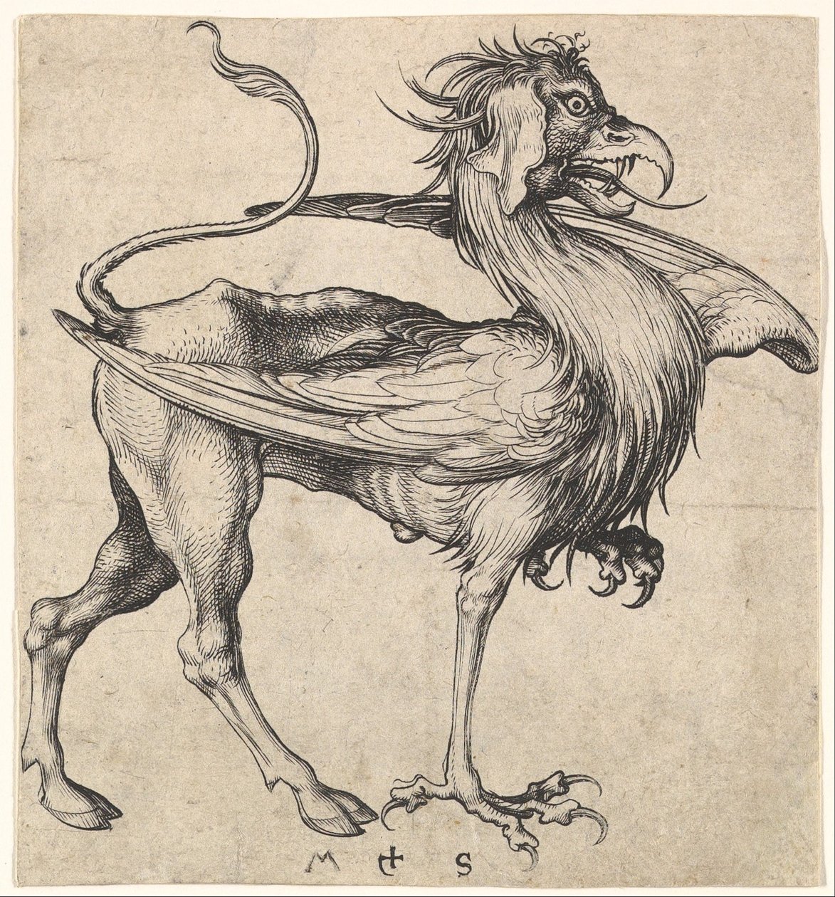 Grifo, ca. 1435-1491 de Martin Schongauer