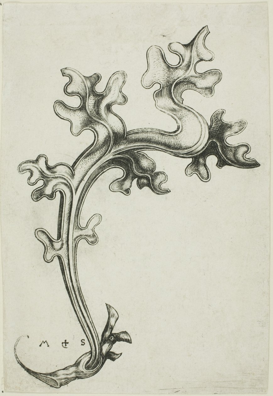 Adorno de hoja de Martin Schongauer