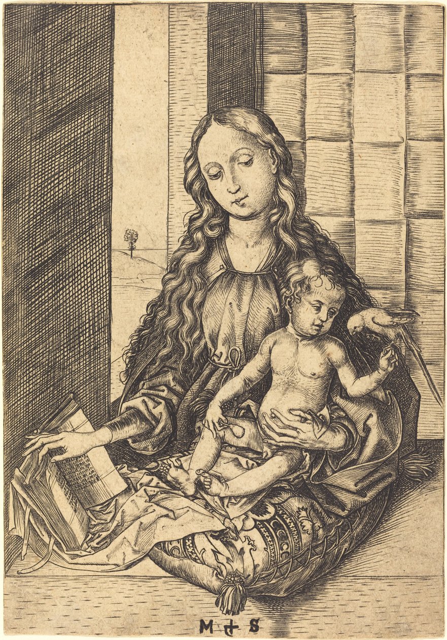 Madonna con un loro de Martin Schongauer