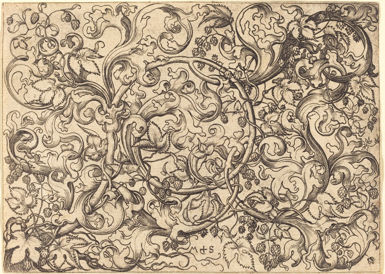 Ornamento con lúpulo de Martin Schongauer