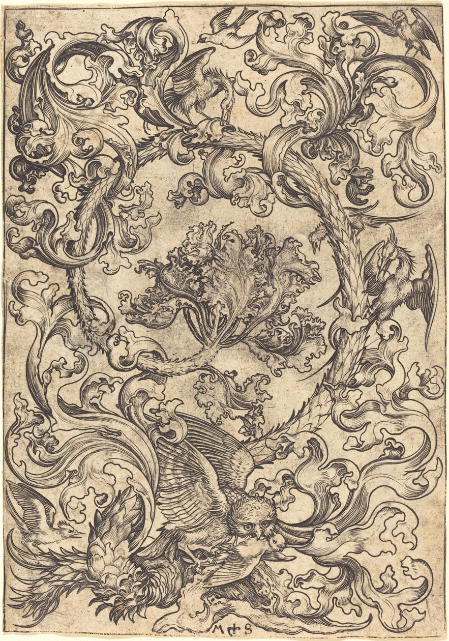 Ornamento con búho burlado por aves diurnas de Martin Schongauer
