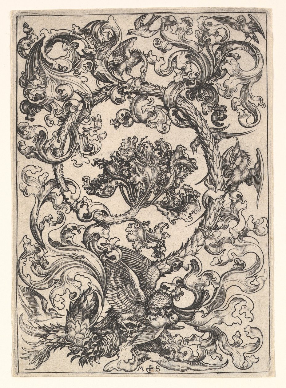 Ornamento con Búho Burlado por Pájaros Diurnos de Martin Schongauer