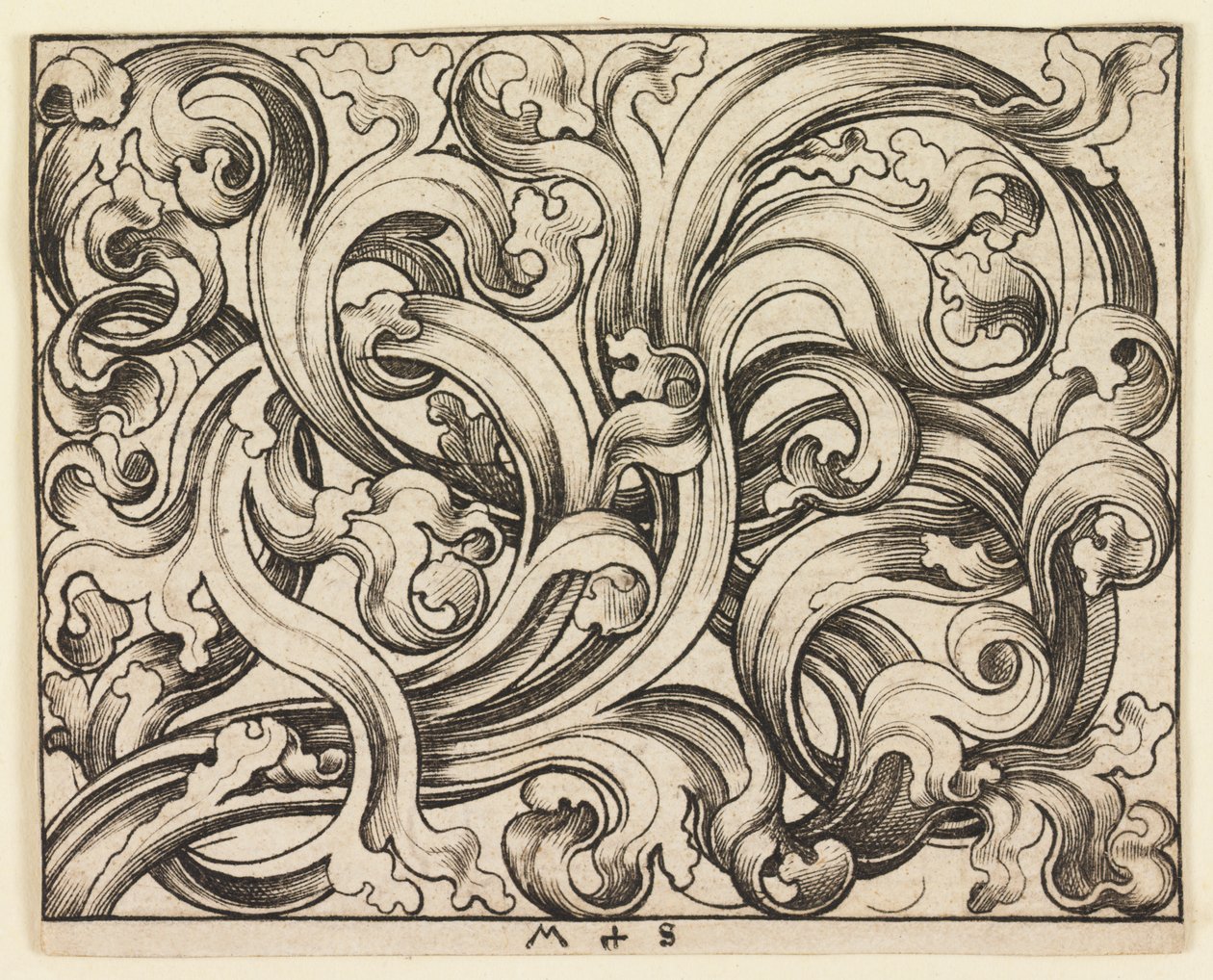 Ornamento horizontal sobre fondo claro de Martin Schongauer