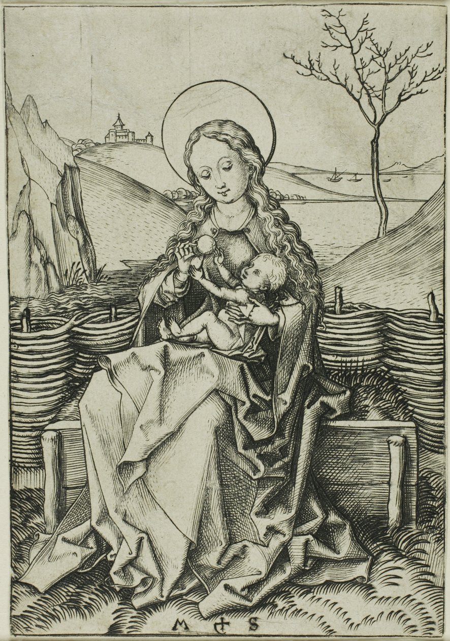 La Virgen con el Niño sobre un banco de hierba de Martin Schongauer