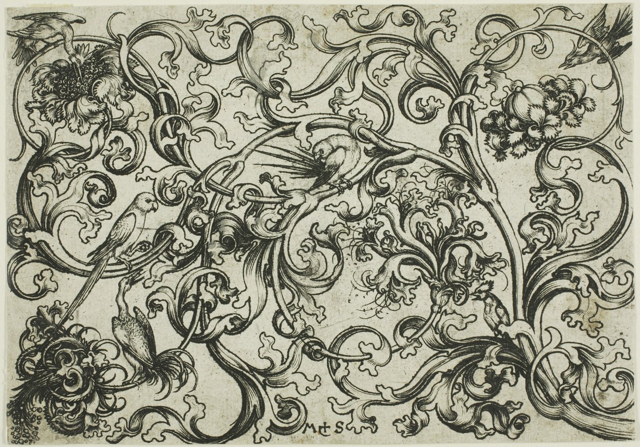 Adorno enredadera con loros y pájaros de Martin Schongauer