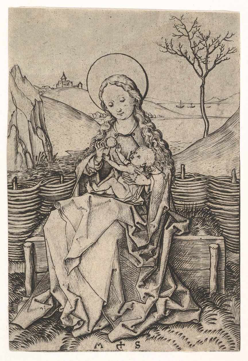 Virgen y Niño en un banco de hierba de Martin Schongauer