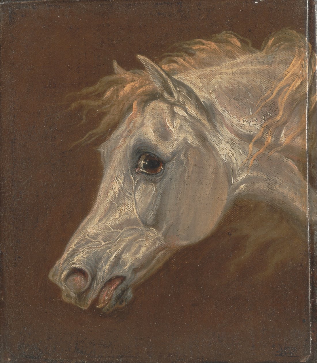 Cabeza de caballo árabe gris de Martin Theodore Ward