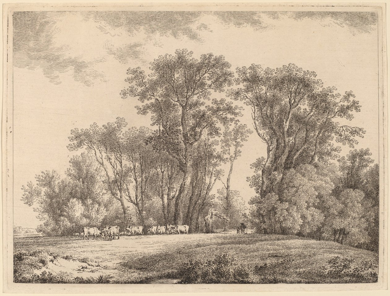 Un prado con ganado al borde de un bosque de Martin von Molitor