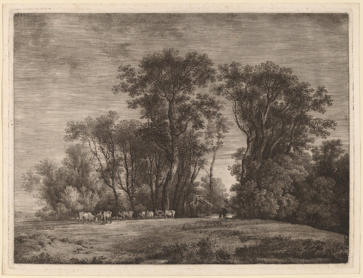 Un Prado con Ganado al Borde de un Bosque de Martin von Molitor