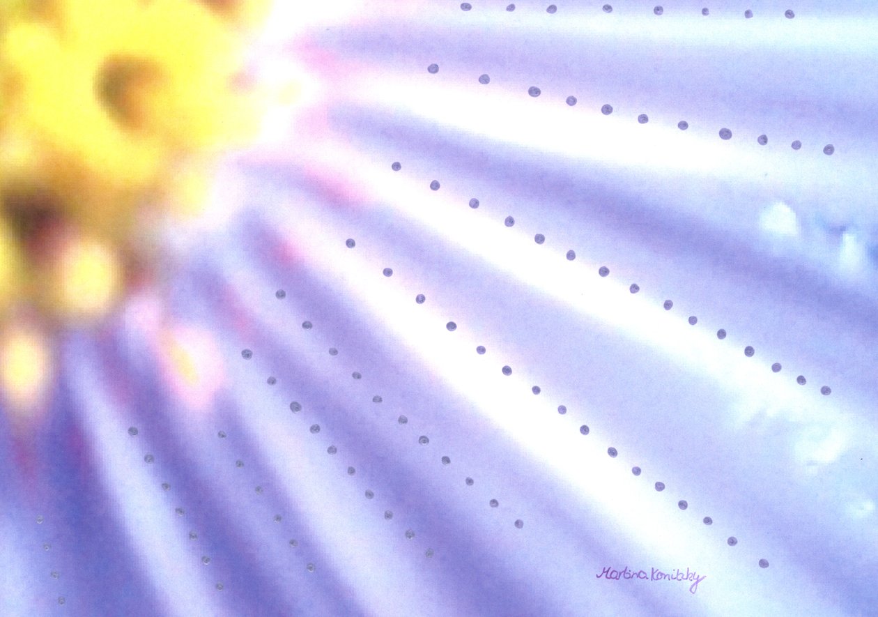 Flor azul de Martina Konitzky