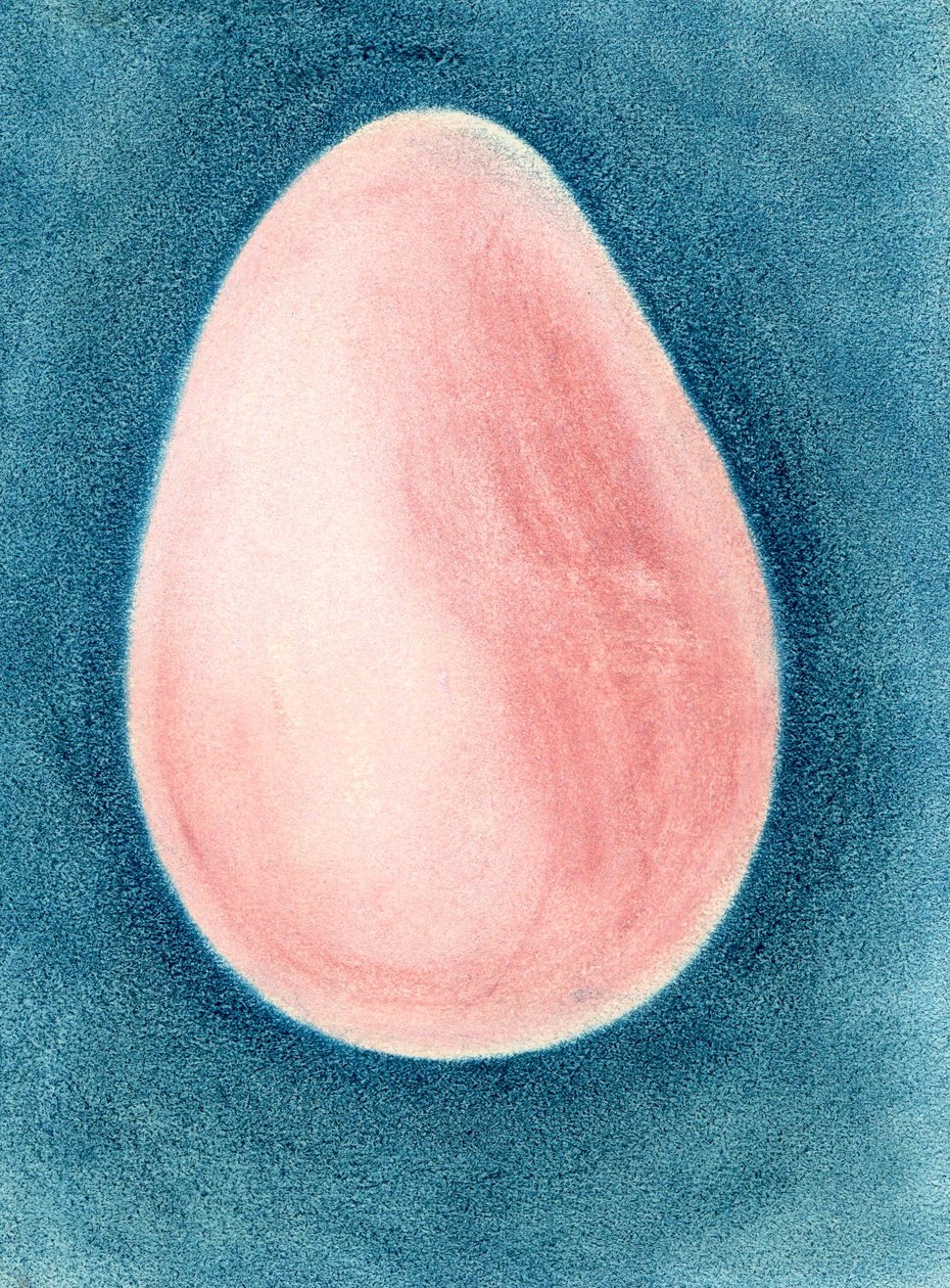 Huevo rosado de Martina Konitzky