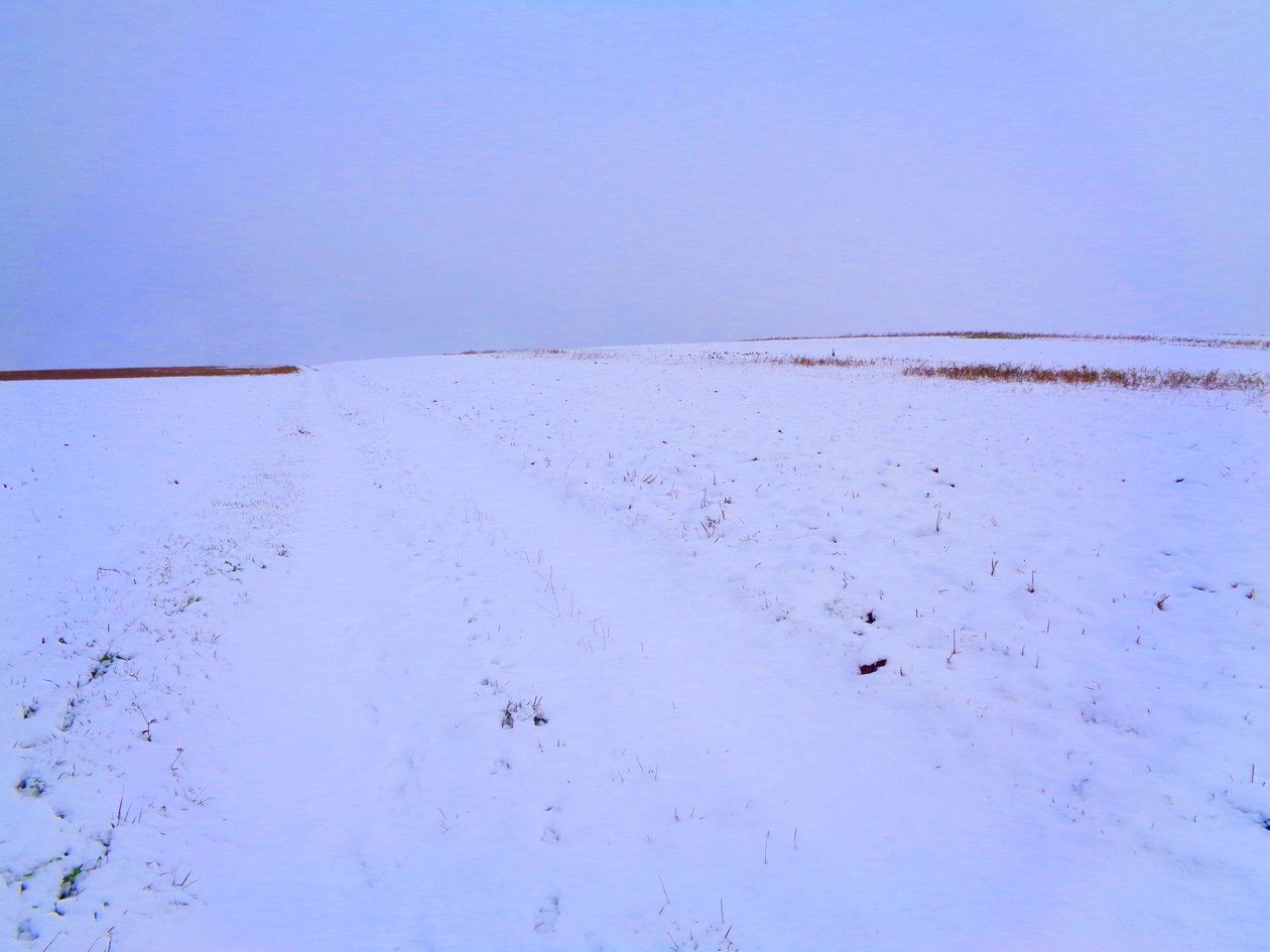 Campos en invierno de Martina Konitzky