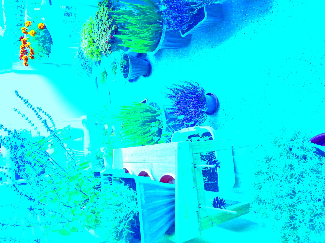 Jardinería de Martina Konitzky