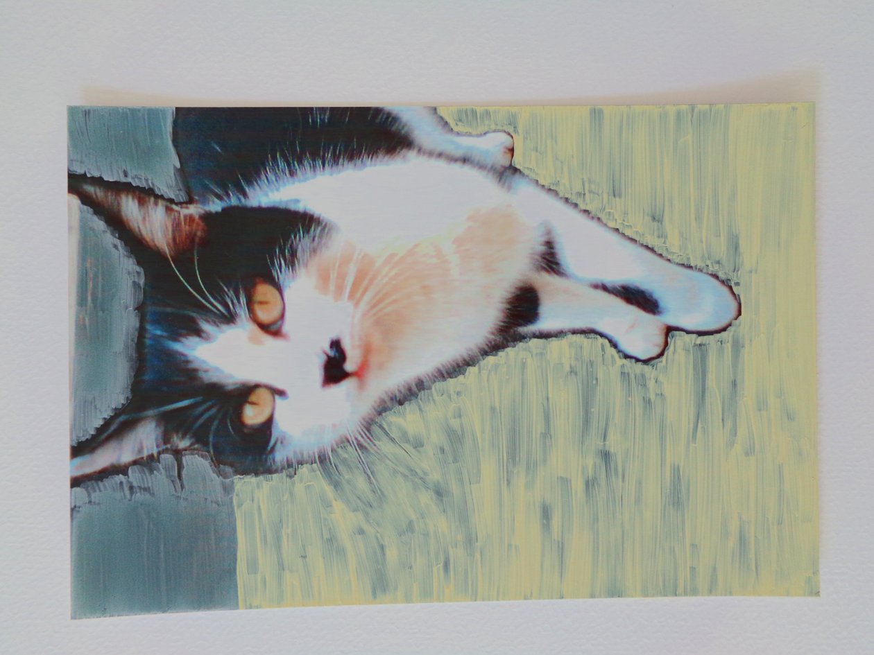 Gato Gato de Martina Konitzky