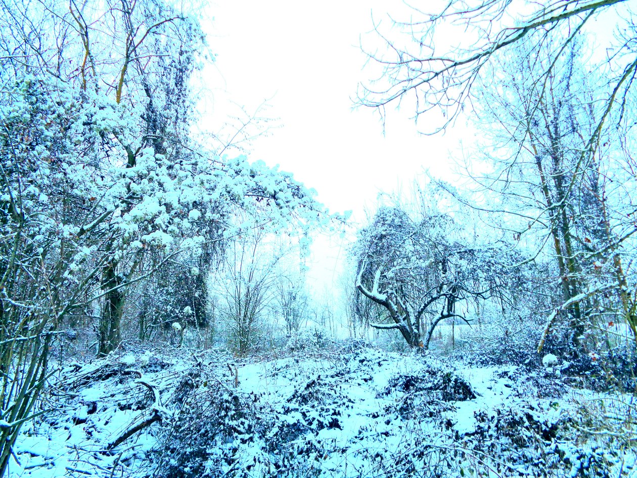 Azul invierno de Martina Konitzky