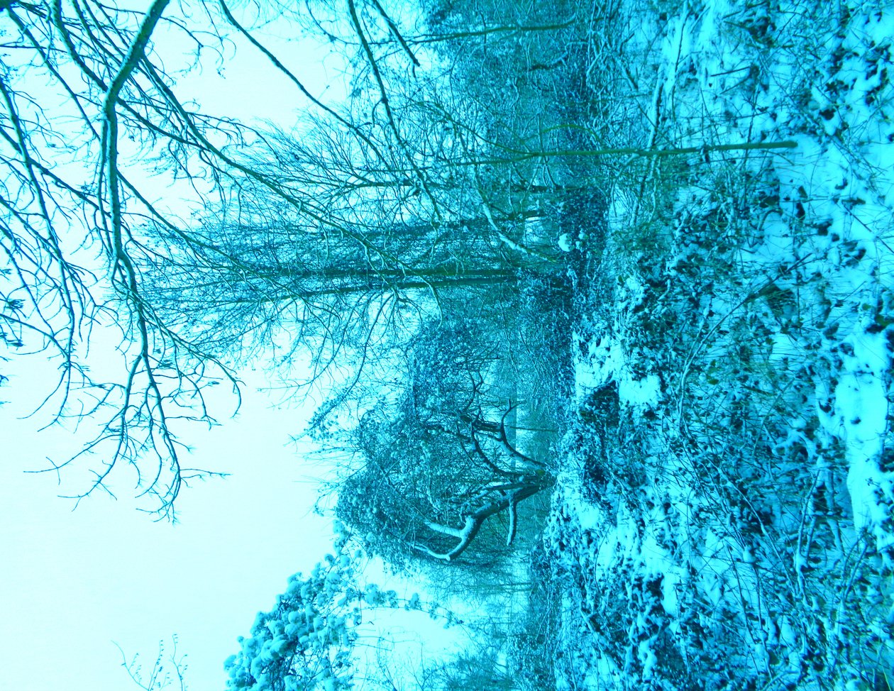 Azul invierno de Martina Konitzky