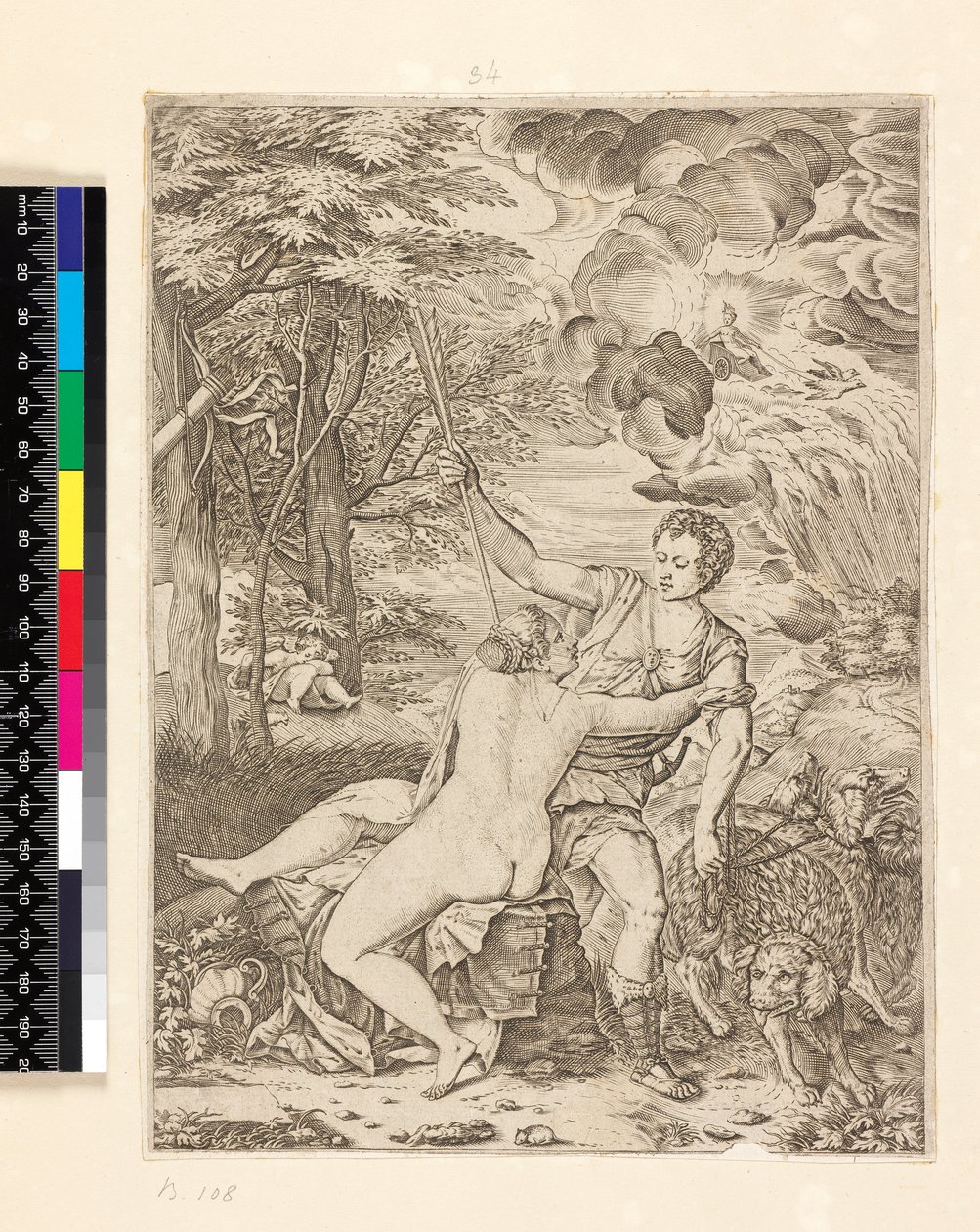 Venus y Adonis de Martino Rota