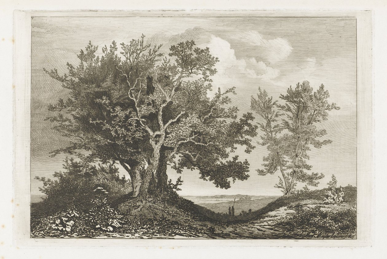 Camino rural entre los dos lotes de árboles de Martinus Antonius Kuytenbrouwer jr.