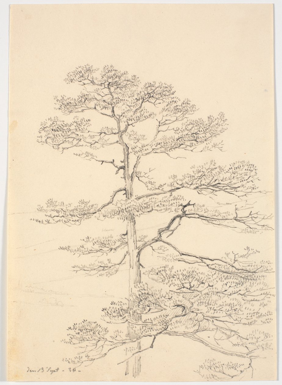 Un pino de Martinus Rørbye