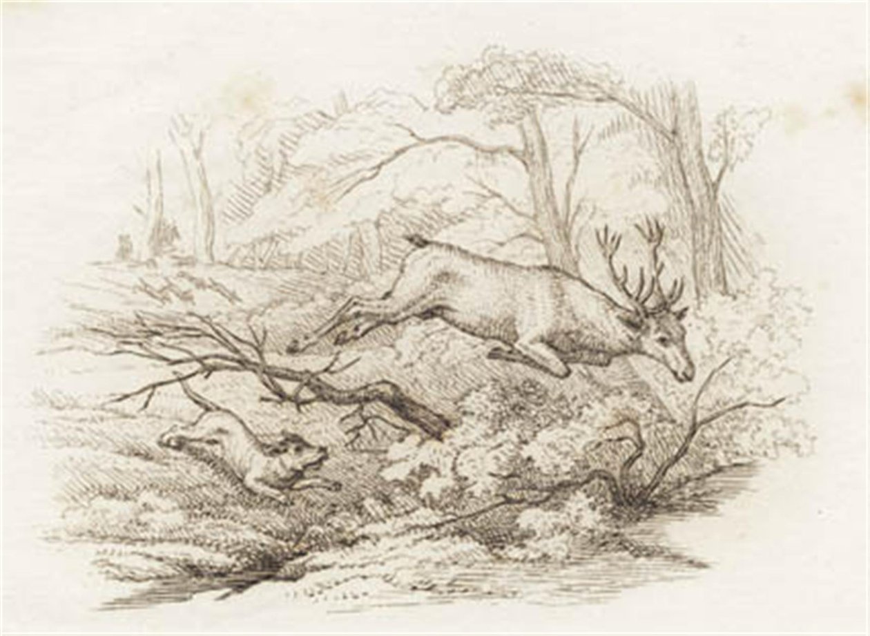 Ilustración de "Halvhundrede Fabler for Børn" de Hey de Martinus Rørbye