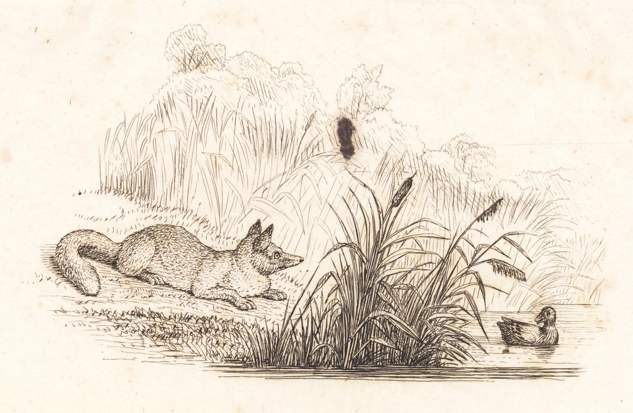 Ilustración para "Cincuenta fábulas para niños" de Hey de Martinus Rørbye