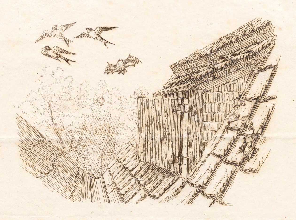 Ilustración para "Halvhundrede Fabler for Børn" de Hey de Martinus Rørbye