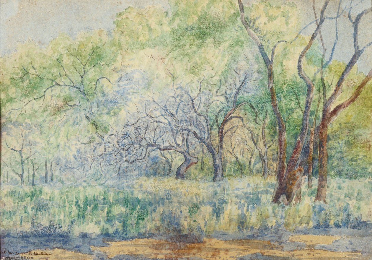 Paisaje de Martín Malharro